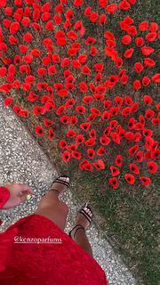 María Pombo feet photo 6