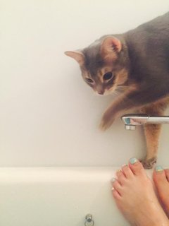 Masami Odate feet photo thumbnail