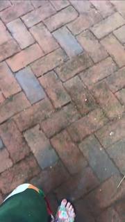 Mascha Vang feet photo 3