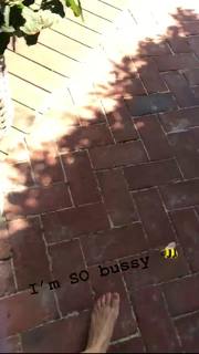 Mascha Vang feet photo 14