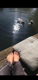 Mascha Vang feet photo 7
