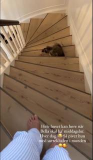 Mascha Vang feet photo 18
