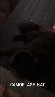 Mascha Vang feet photo 2