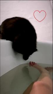 Mascha Vang feet photo 19