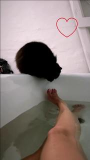 Mascha Vang feet photo 18