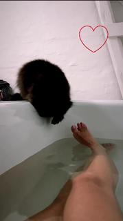 Mascha Vang feet photo 17