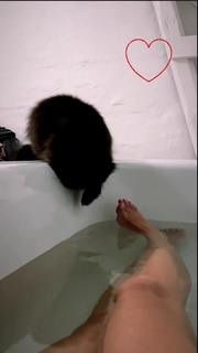 Mascha Vang feet photo 16