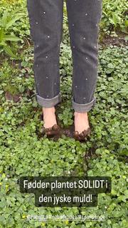 Mascha Vang feet photo 7
