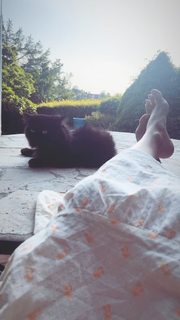 Mascha Vang feet photo 4