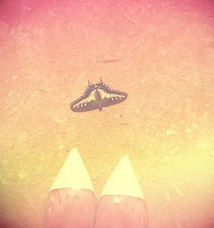 Masiela Lusha feet photo thumbnail