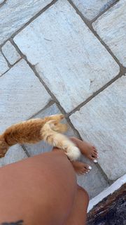 Mathilde Tantot feet photo 6