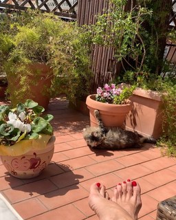 Matilde Brandi feet photo thumbnail