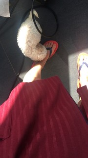 Matilde Gioli feet photo thumbnail