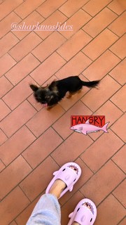 Matilde Gioli feet photo thumbnail