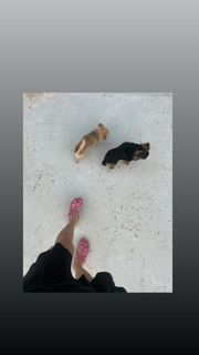 Matilde Gioli feet photo thumbnail