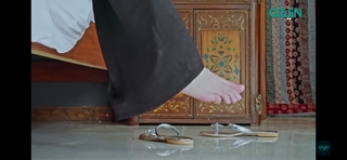 Mawra Hocane feet photo thumbnail