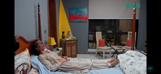 Mawra Hocane feet photo thumbnail