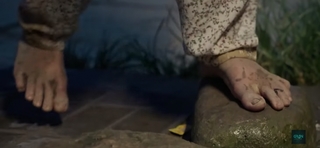 Mawra Hocane feet photo thumbnail