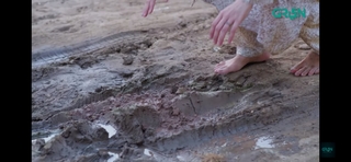 Mawra Hocane feet photo thumbnail