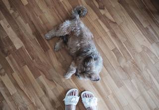 Maxene Magalona feet photo 6