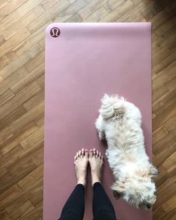 Maxene Magalona feet photo 9