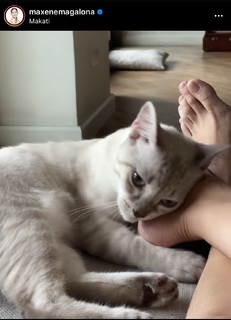 Maxene Magalona feet photo 19