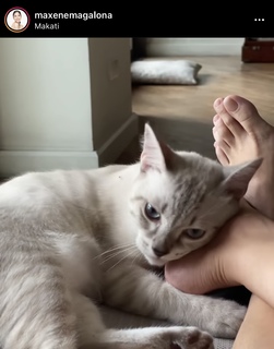 Maxene Magalona feet photo 18