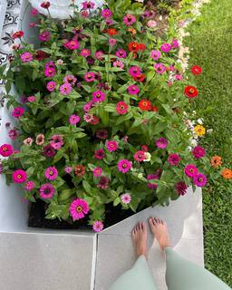 Maxene Magalona feet photo 3