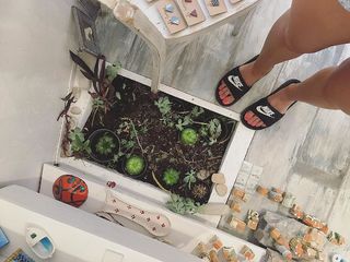 Maxine Tamoto feet photo 20