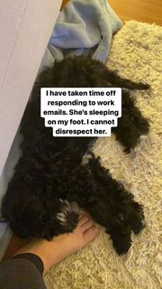 Maxine Tamoto feet photo 14