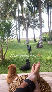 Maya Gabeira feet photo 20