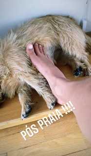 Maya Gabeira feet photo 15