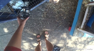 Maya Higa feet photo thumbnail