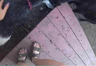 Maya Higa feet photo thumbnail