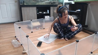 Maya Higa feet photo thumbnail