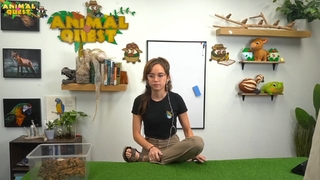 Maya Higa feet photo thumbnail