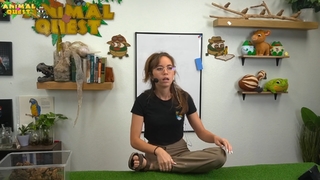Maya Higa feet photo thumbnail