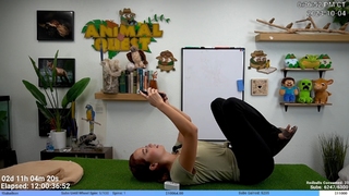 Maya Higa feet photo thumbnail