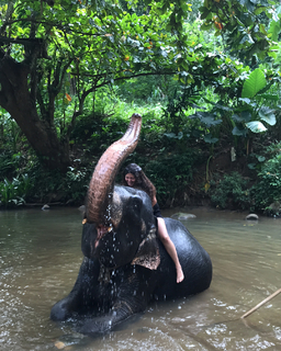 Mayan El Sayed feet photo thumbnail