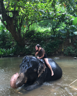 Mayan El Sayed feet photo thumbnail