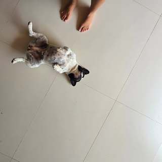 Maísa Silva feet photo thumbnail
