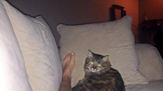 McKenzie Westmore feet photo 7