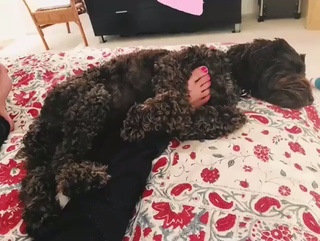 Meaghan Rath feet photo thumbnail