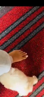 Meenakshi feet photo 9