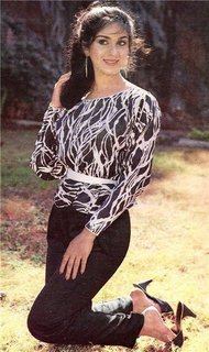 Meenakshi Sheshadri feet photo 2