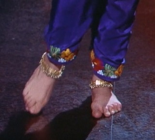 Meenakshi Sheshadri feet photo 11