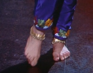 Meenakshi Sheshadri feet photo 9