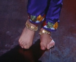 Meenakshi Sheshadri feet photo 8