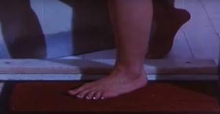 Meenakshi Sheshadri feet photo 5