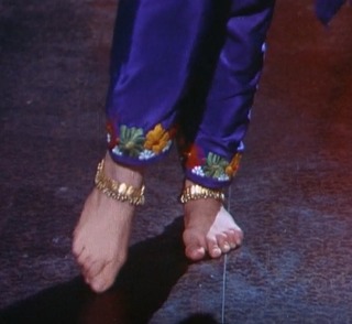 Meenakshi Sheshadri feet photo 19